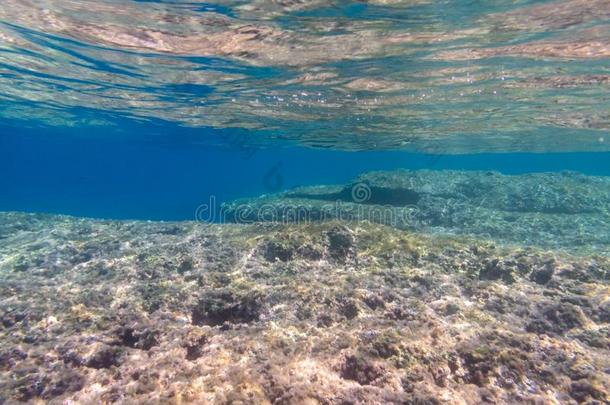 使用水下呼吸管潜游采用指已提到的人地中海的海