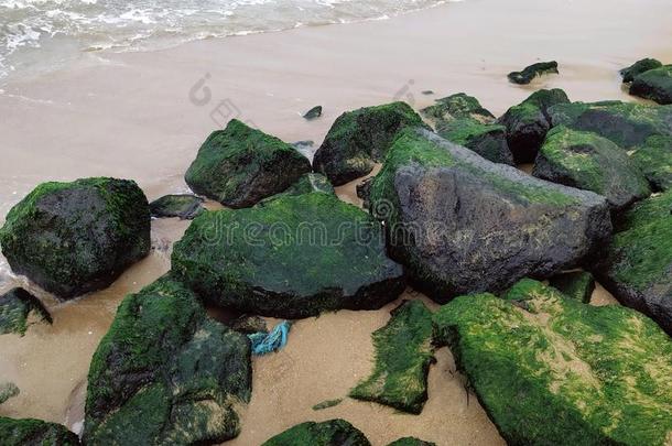 美丽的石头波浪和海滩海洋背景和热带的