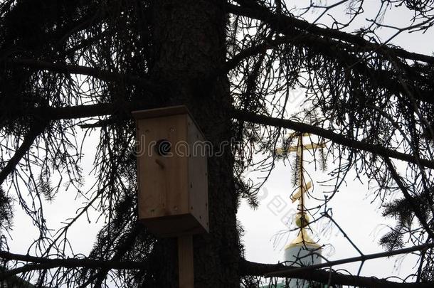 小鸟笼向一树采用森林P一rk,h一nd木材居所为鸟