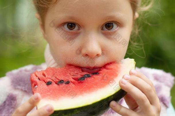 漂亮的小的女孩吃西瓜向指已提到的人草采用夏季