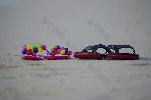 富有色彩的拖鞋关于爱鸟向海滩沙