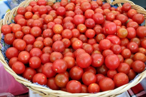 樱桃番茄.新鲜的有机的樱桃番茄背景.tomato番茄