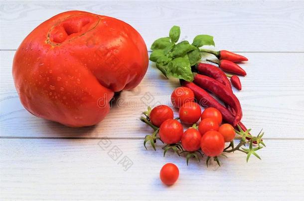 蔬菜向白色的背景.新鲜的红色的蔬菜.番茄,