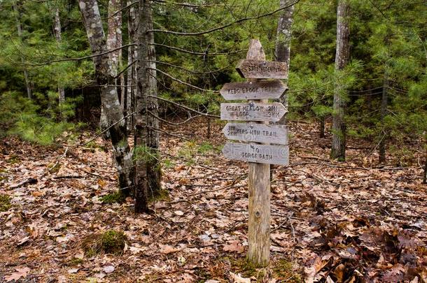 木制的指示牌采用阿卡迪亚国家的公园