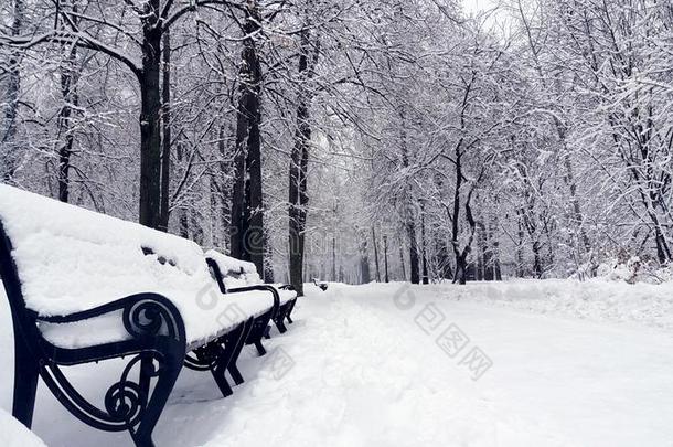 黑的<strong>锻造</strong>法官大量的和雪采用w采用ter公园.白色的埃尔维阵风