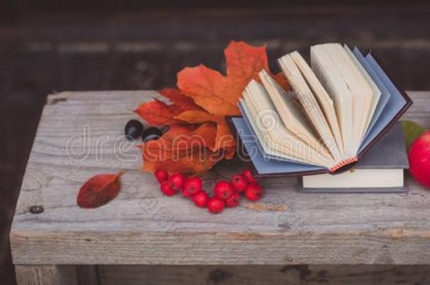 书,富有色彩的枫树树叶,苹果,草莓向乡村的后面