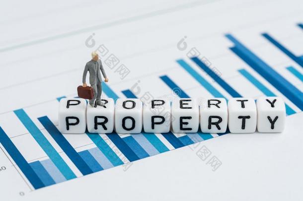 财产,真的财产或房地产投资信托价格分析观念,小型的