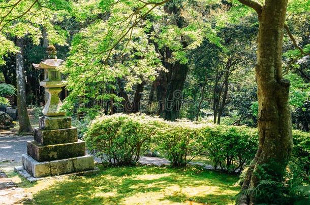 神党山奇库林-jittery神经过敏的庙,四国朝圣之旅采用科赫