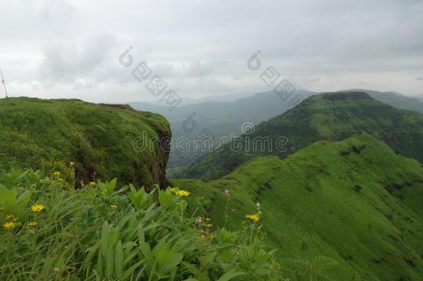 风景优美的看法关于温室风景和小山