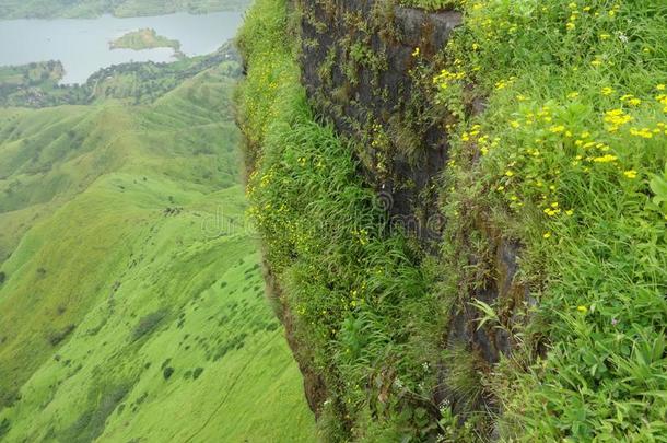 风景优美的看法关于温室风景和小山