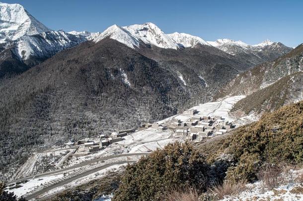 美丽的全景画关于富有色彩的森林和雪遮盖遗骨undermentioned下述的