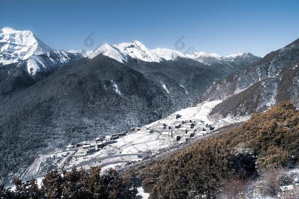 美丽的全景画关于富有色彩的森林和雪遮盖遗骨undermentioned下述的