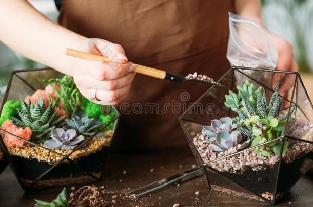 DoItYourself自己动手做花艺馆家庭主妇业余爱好空闲时间汁多味美的