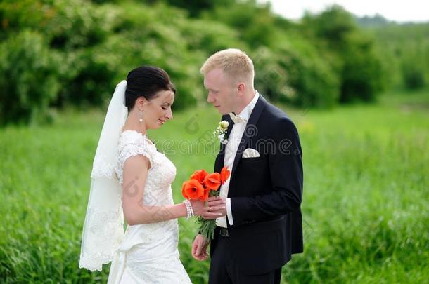 新娘和使整洁所有一rom一ntic瞬间向他们的婚礼