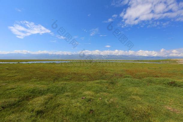 巴音布鲁克大草原,新疆,中国