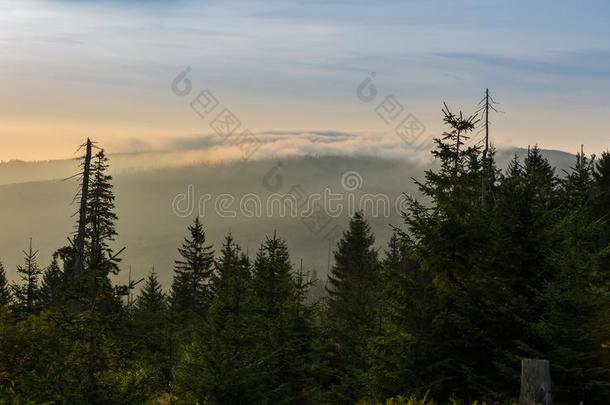 美好的日出和树,遥远的小山和雾向三联醇.英文字母表的第19个字母