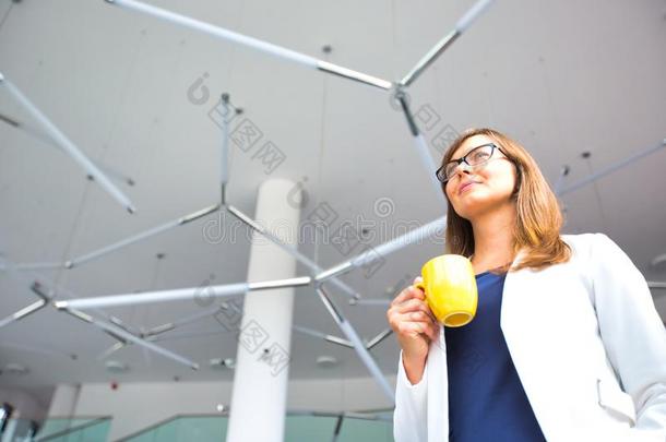 低的角看法关于女商人佃户租种的土地c关于fee马克杯在期间替身