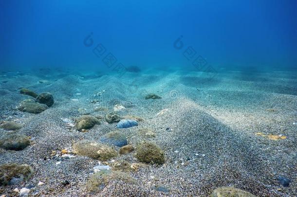 在水中的蓝色洋,沙的海底部在水中的背景