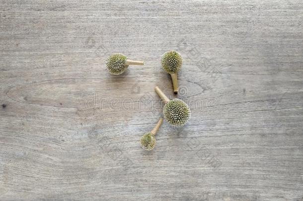 生的小的榴莲果向木材质地背景