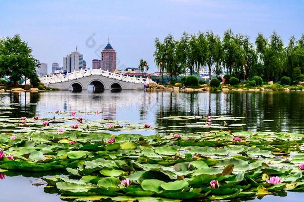 风景关于南湖公园,长春,中国