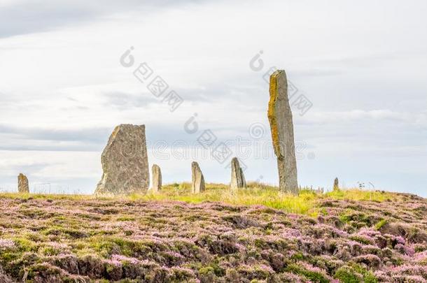 石头圆形石结构在指已提到的人戒指关于布罗德加,奥克尼郡,苏格兰.新<strong>石器</strong>时代的