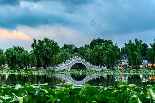 风景关于南湖公园,长春,中国