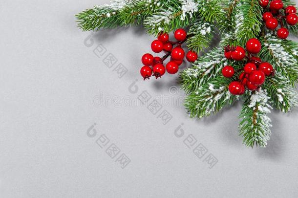 圣诞节树树枝红色的浆果装饰灰色的纸后面
