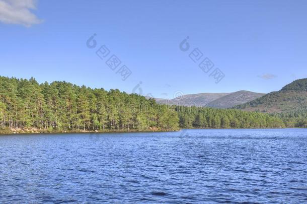 古代的<strong>森林</strong>在旁边湖采用指已提到的人苏格兰的高原地区
