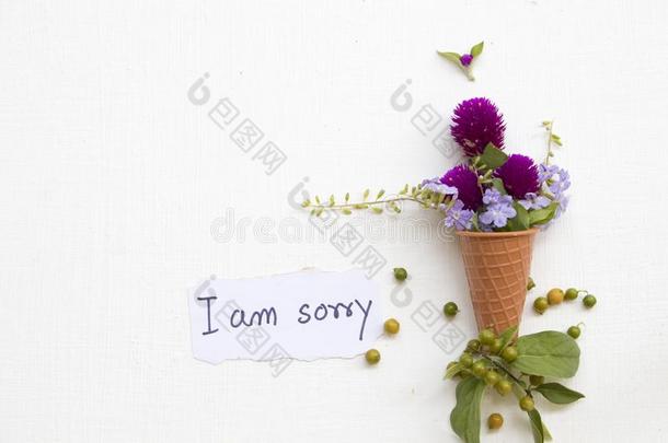 我调频对不起的信息卡片书法和紫色的花调频aranth