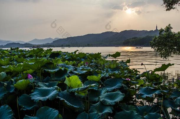 杭州西湖