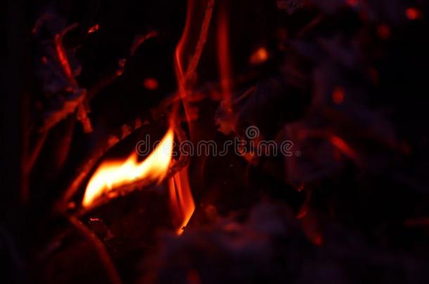营火火焰质地背景.红色的火焰s和用文火焖烧火