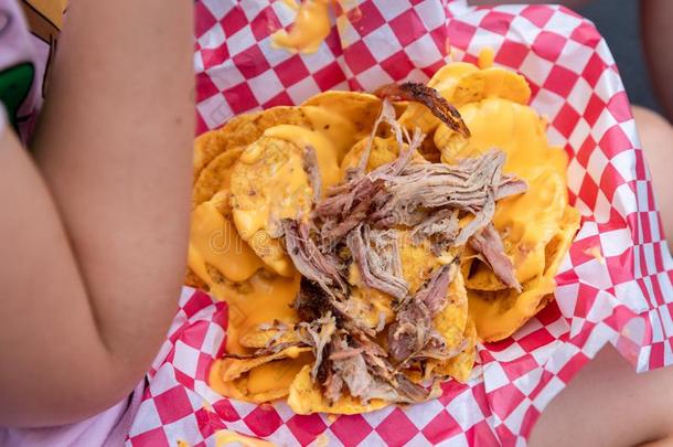 精心选择的集中关于猪肉肉墨西哥玉米片采用女儿折叠在一大街f一i