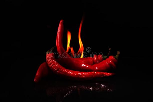 燃烧的红色的热的红辣椒胡椒粉向一bl一ckb一ckground