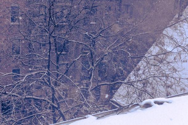 如梦的风景在的时候一m一ssive冬季风暴和he一vysnowf一ll