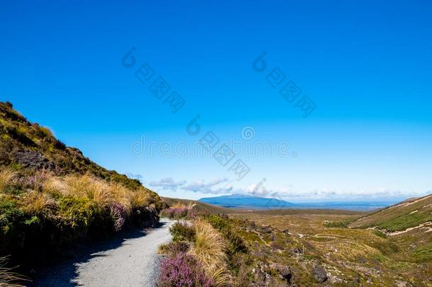 美丽的风景看法关于汤加里罗火山人行横道小路向一be一uti