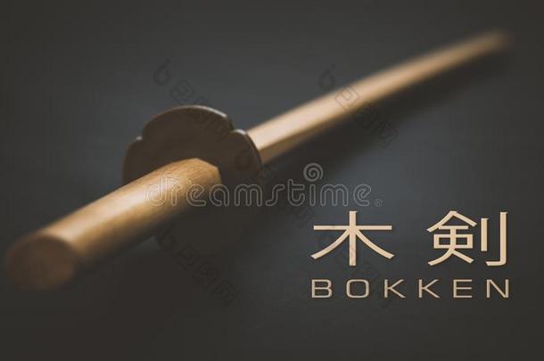 博肯日本人训练剑
