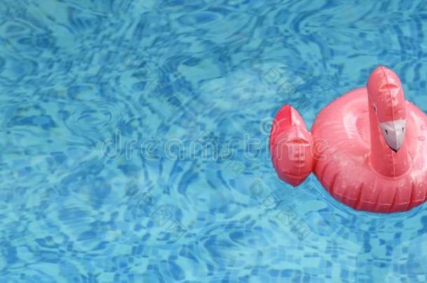 需充气的粉红色的红鹳浮动采用透明的蓝色水池水.英语字母表的第20个字母