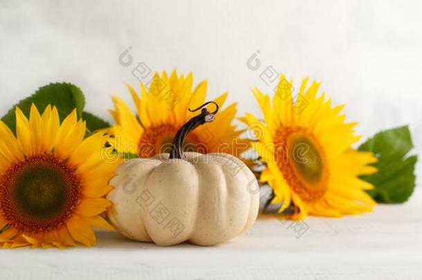秋仍生活和向日葵和白色的南瓜..秋定金