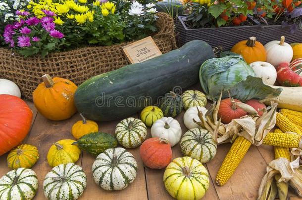 秋陈列关于成果和蔬菜