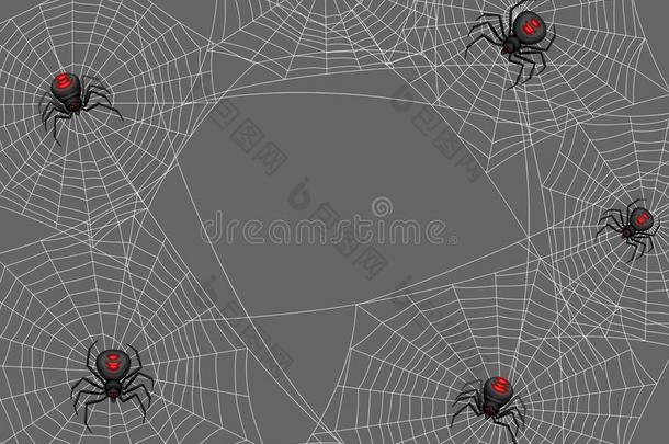 背景和黑的寡妇蜘蛛.