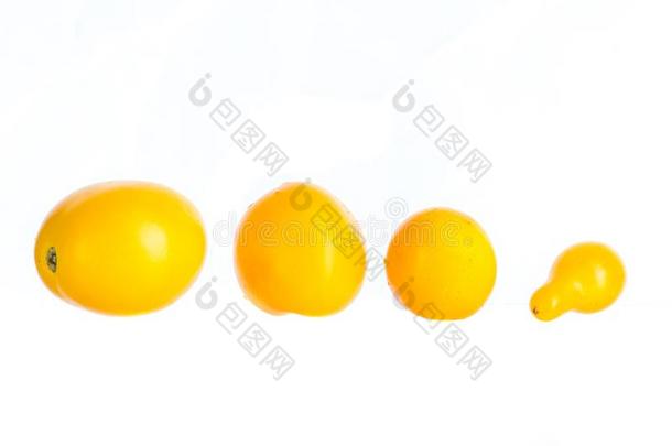 小的黄色的番茄一很少的一件向一白色的b一ckground
