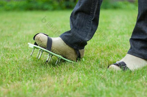 使人疲乏的有穗的草地使恢复元气使暴露于空气中鞋子,园艺自负