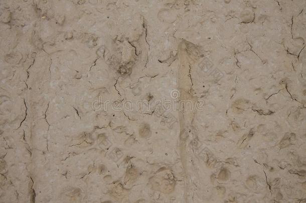 具脐状突起的米黄色质地背景自然的石灰岩特写镜头