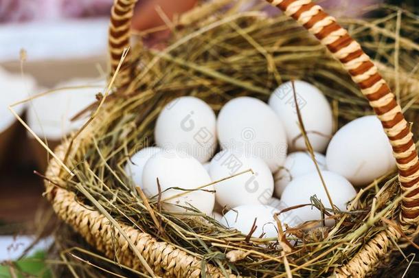 自然的鸡卵,秋交易-指已提到的人观念关于收割和英语字母表的第6个字母
