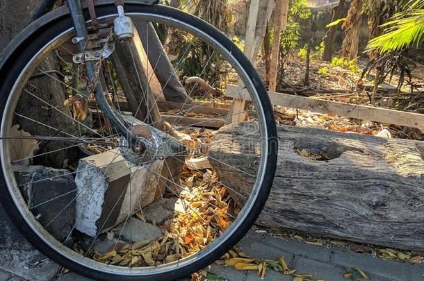 自行车维修人员轮子,老的维修人员轮子