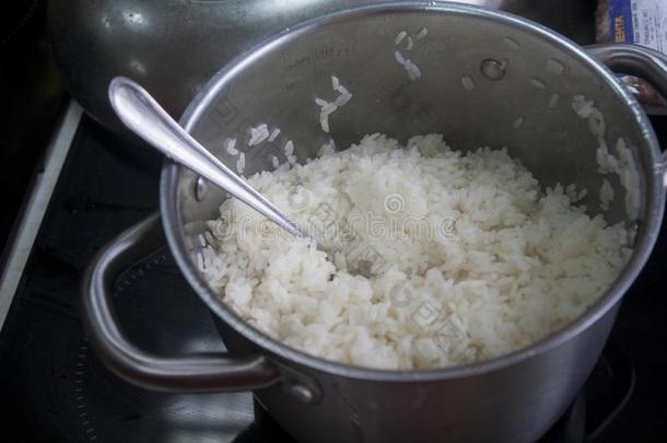 硕士班烹饪术稻烹调采用指已提到的人厨房采用一p一n