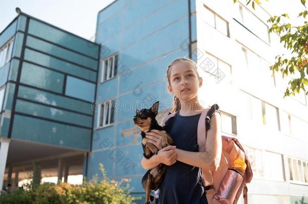 女学生进行向学校采用指已提到的人morn采用g太阳.奇瓦瓦狗狗锡蒂