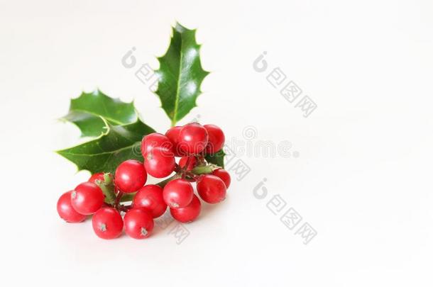 圣诞节冬青和红色的浆果.传统的节日的装饰