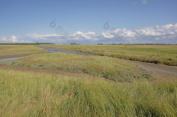 海边淤泥地采用Zw采用自然储备,和小湾和沙丘.诺克