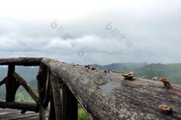 关-在上面木制的阳台向指已提到的人顶关于山